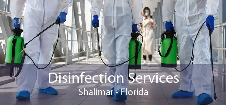 Disinfection Services Shalimar - Florida