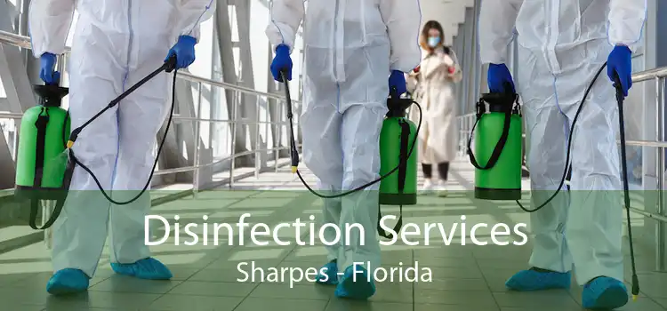 Disinfection Services Sharpes - Florida