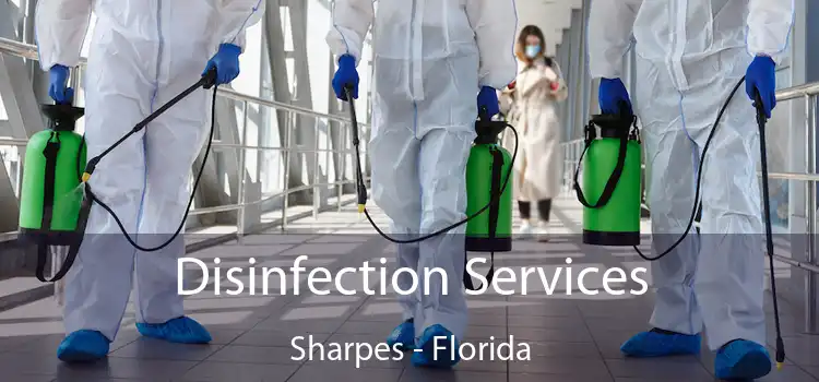 Disinfection Services Sharpes - Florida