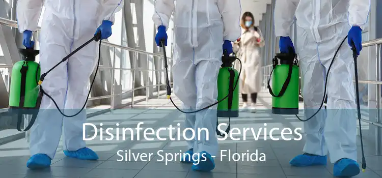 Disinfection Services Silver Springs - Florida