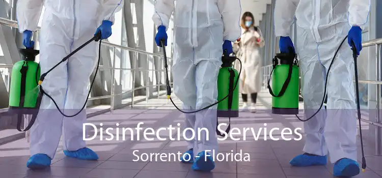 Disinfection Services Sorrento - Florida