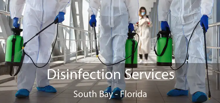 Disinfection Services South Bay - Florida