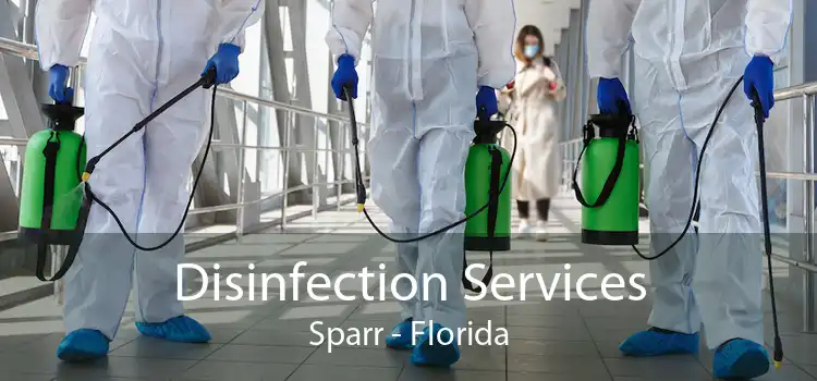 Disinfection Services Sparr - Florida