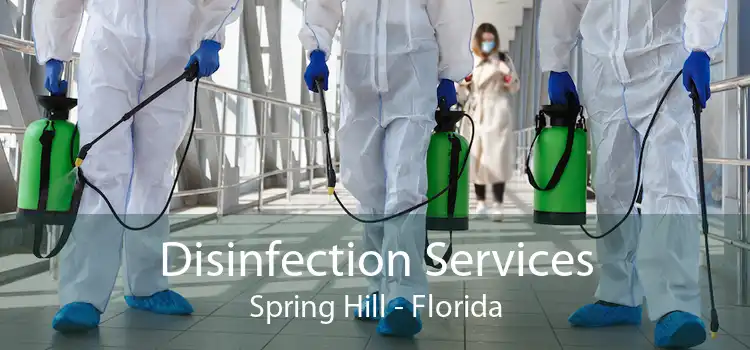 Disinfection Services Spring Hill - Florida