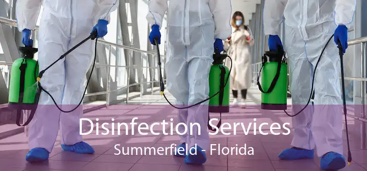 Disinfection Services Summerfield - Florida
