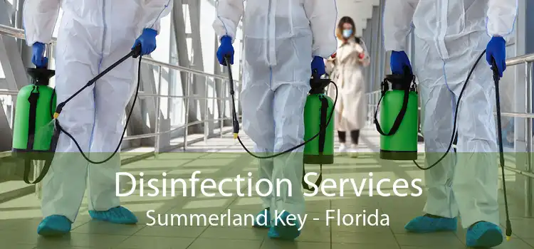 Disinfection Services Summerland Key - Florida