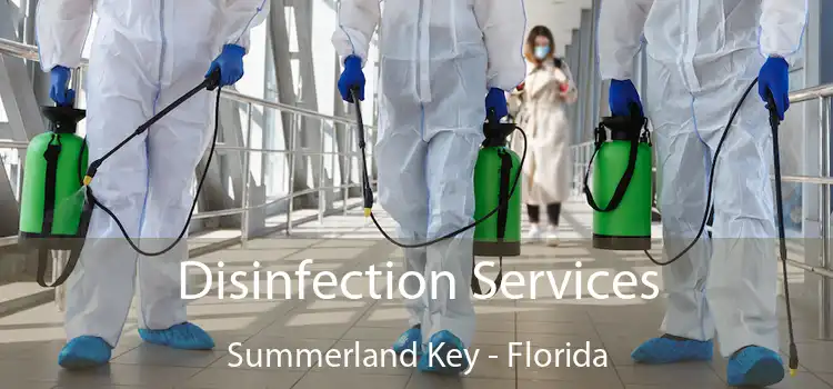 Disinfection Services Summerland Key - Florida