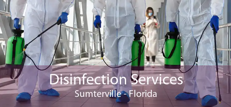 Disinfection Services Sumterville - Florida