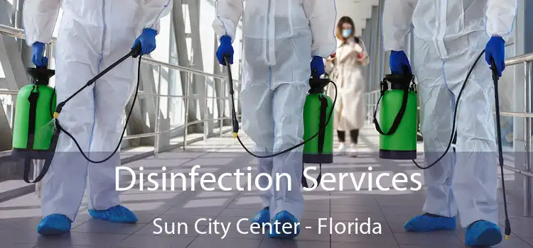 Disinfection Services Sun City Center - Florida