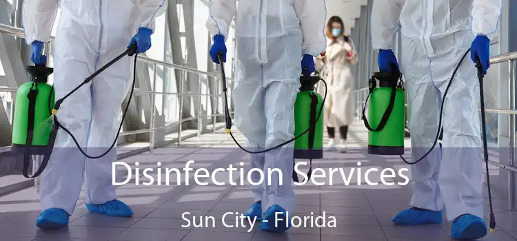 Disinfection Services Sun City - Florida