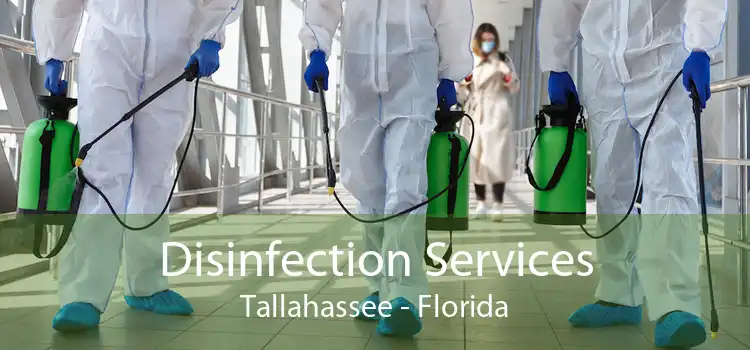 Disinfection Services Tallahassee - Florida