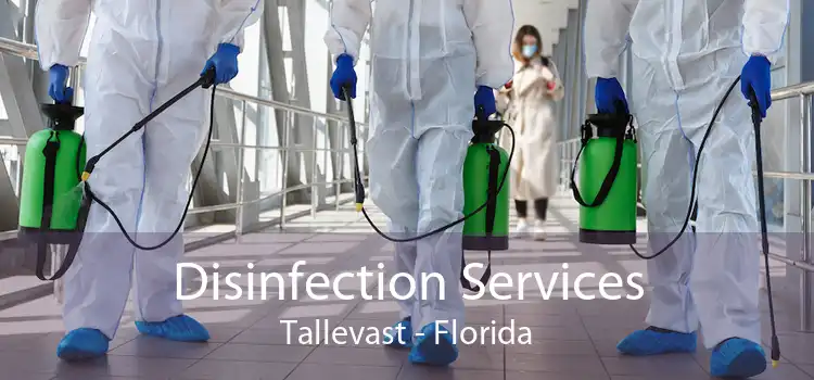 Disinfection Services Tallevast - Florida