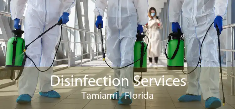 Disinfection Services Tamiami - Florida