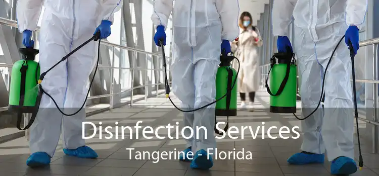 Disinfection Services Tangerine - Florida