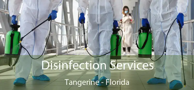 Disinfection Services Tangerine - Florida