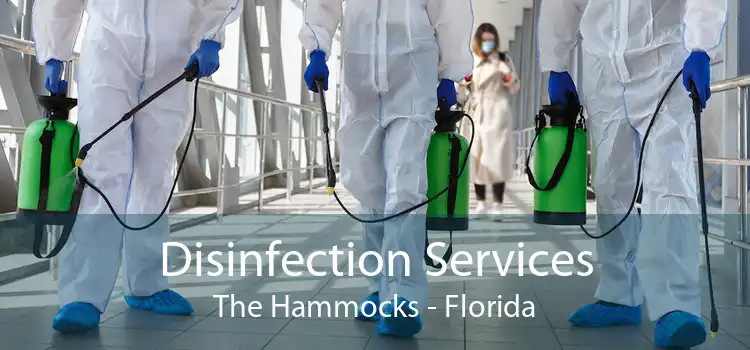 Disinfection Services The Hammocks - Florida