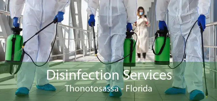 Disinfection Services Thonotosassa - Florida