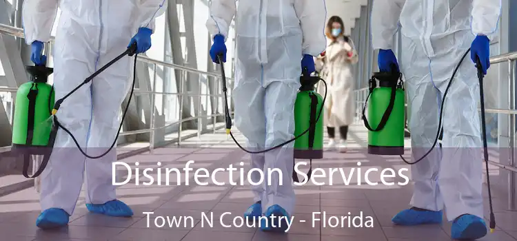 Disinfection Services Town N Country - Florida