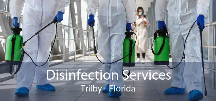 Disinfection Services Trilby - Florida