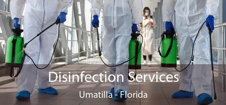 Disinfection Services Umatilla - Florida