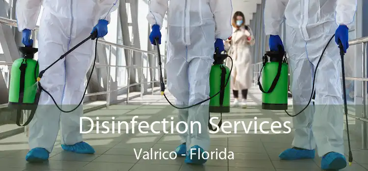 Disinfection Services Valrico - Florida