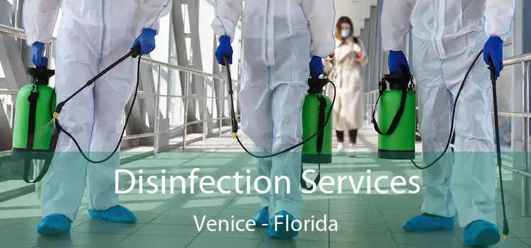 Disinfection Services Venice - Florida