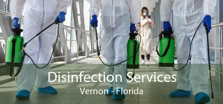Disinfection Services Vernon - Florida