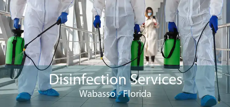 Disinfection Services Wabasso - Florida