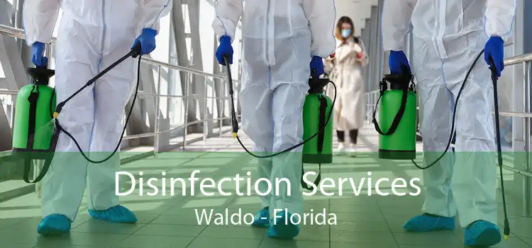 Disinfection Services Waldo - Florida