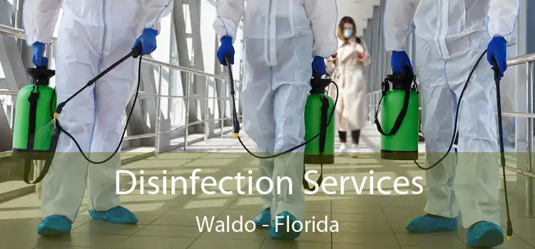 Disinfection Services Waldo - Florida