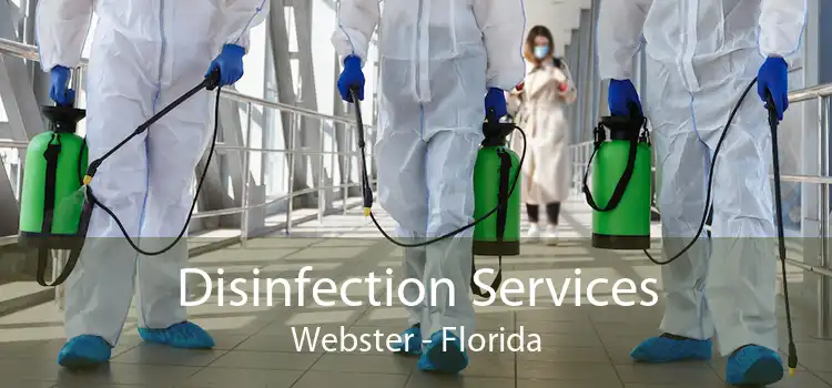 Disinfection Services Webster - Florida