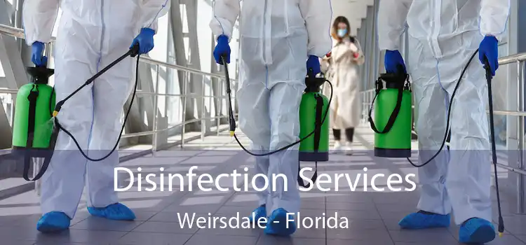 Disinfection Services Weirsdale - Florida