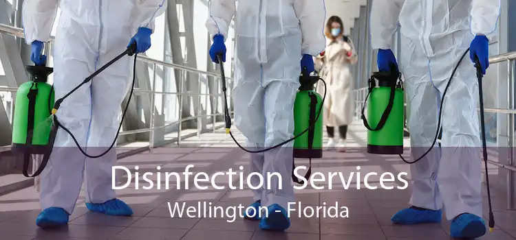 Disinfection Services Wellington - Florida