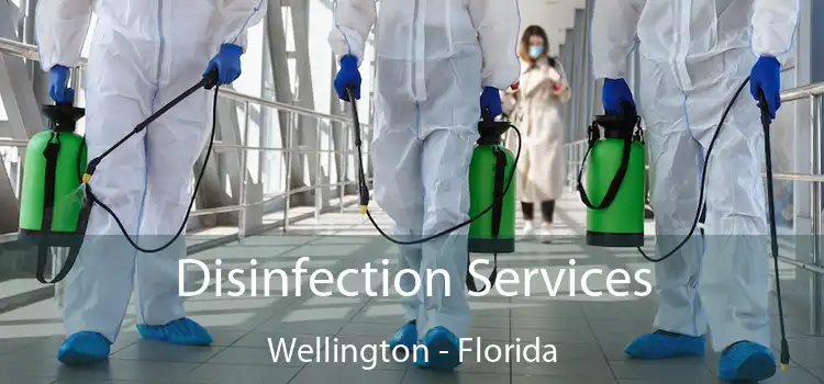 Disinfection Services Wellington - Florida