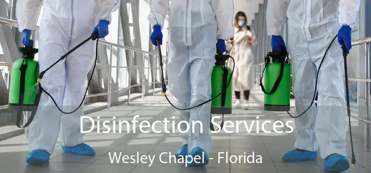 Disinfection Services Wesley Chapel - Florida