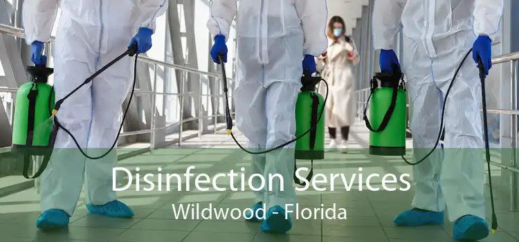 Disinfection Services Wildwood - Florida