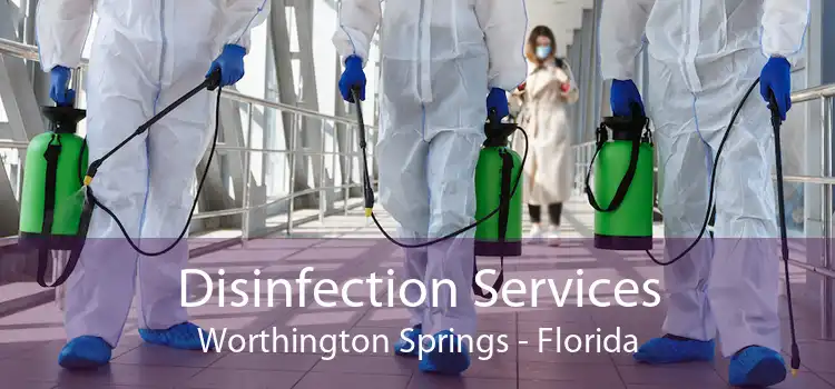 Disinfection Services Worthington Springs - Florida