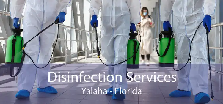 Disinfection Services Yalaha - Florida
