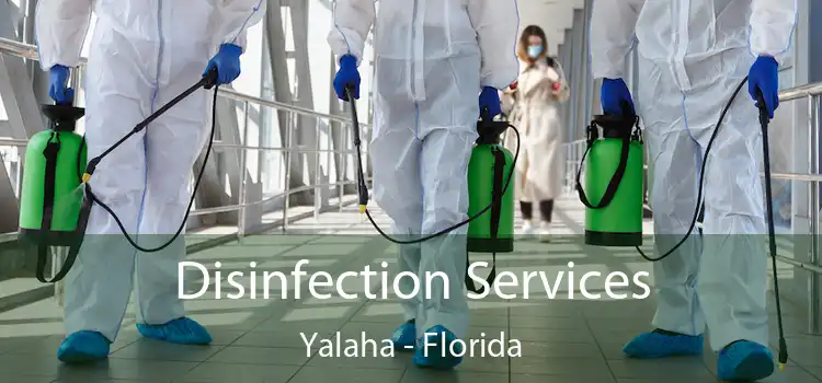 Disinfection Services Yalaha - Florida