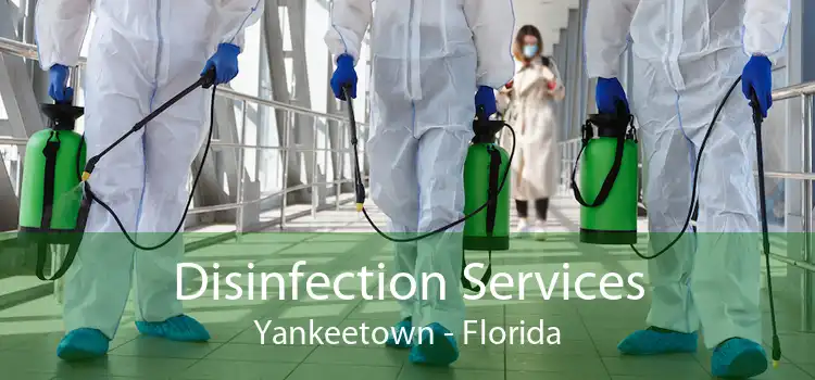Disinfection Services Yankeetown - Florida
