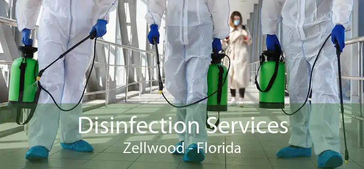 Disinfection Services Zellwood - Florida