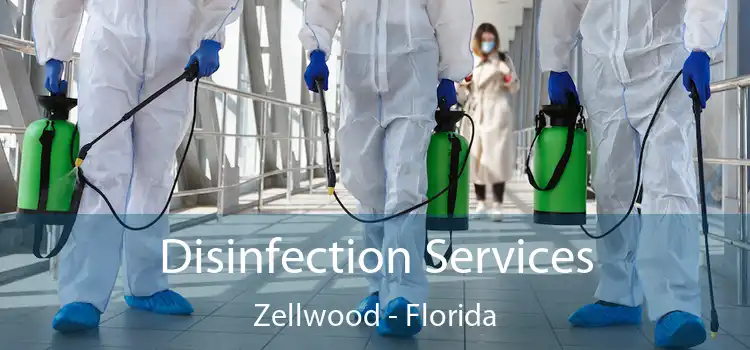 Disinfection Services Zellwood - Florida