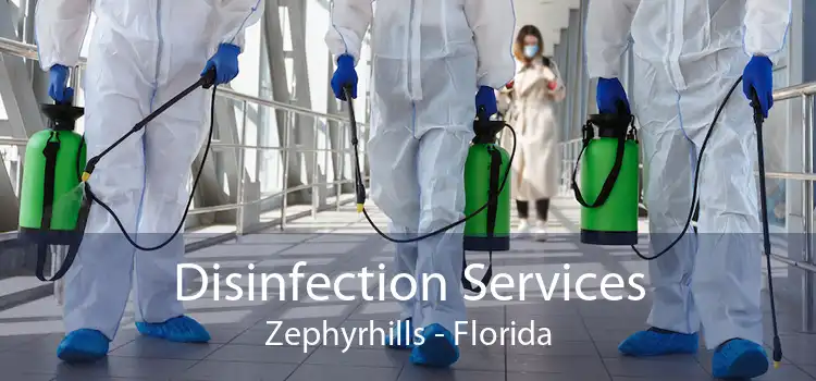 Disinfection Services Zephyrhills - Florida