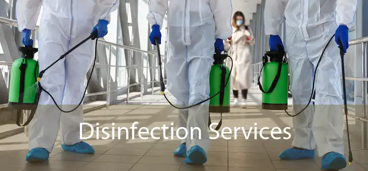 Disinfection Services