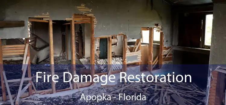 Fire Damage Restoration Apopka - Florida