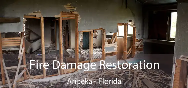 Fire Damage Restoration Aripeka - Florida