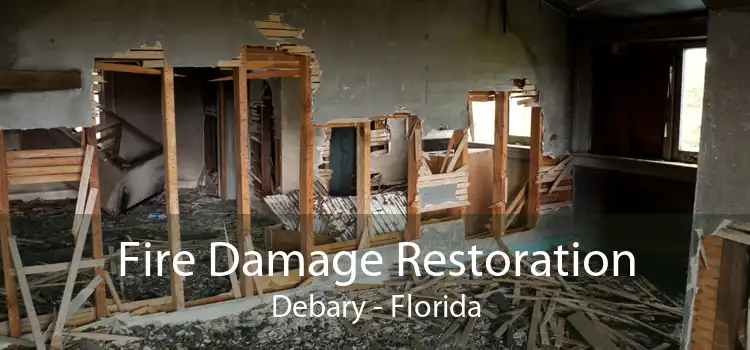 Fire Damage Restoration Debary - Florida