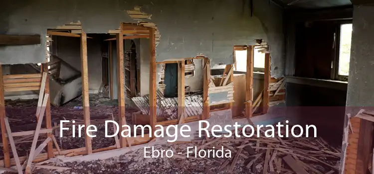 Fire Damage Restoration Ebro - Florida