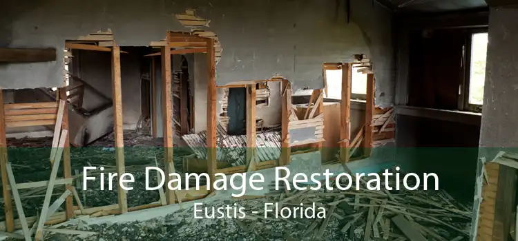 Fire Damage Restoration Eustis - Florida