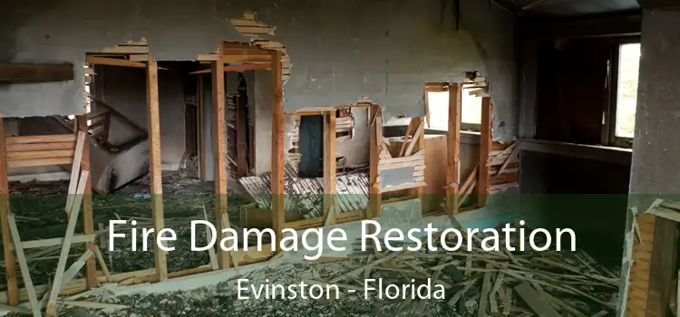 Fire Damage Restoration Evinston - Florida